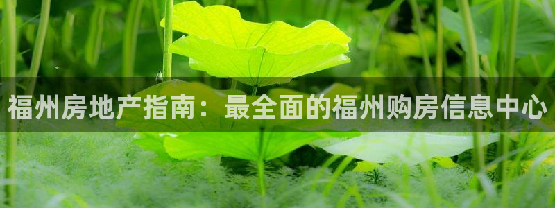 九游会j9官网ag